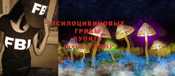 2c-b Гусь-Хрустальный