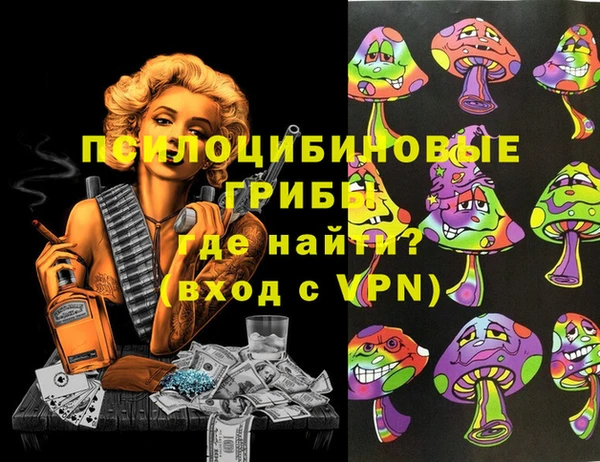 2c-b Гусиноозёрск