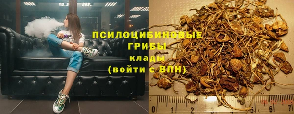 2c-b Гусь-Хрустальный