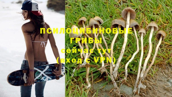 2c-b Гусь-Хрустальный