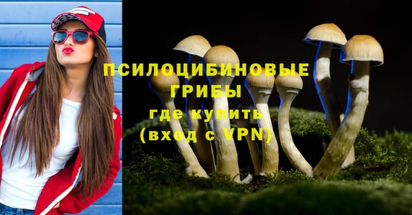 марки nbome Гусев