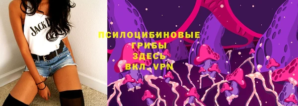 2c-b Гусь-Хрустальный